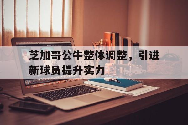 芝加哥公牛整体调整，引进新球员提升实力的简单介绍